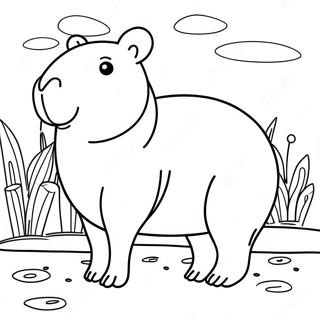 Capybara Farveside 10016-8234