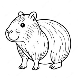 Capybara Farveside 10016-8235