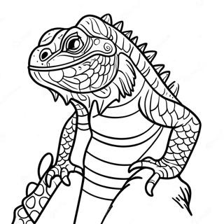 Iguana Farveside 13608-11278