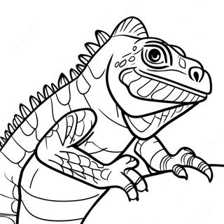 Iguana Farveside 13608-11279