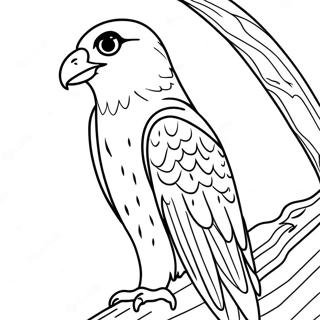 Peregrine Falcon Farveside 13778-11415