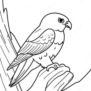 Peregrine Falcon Farveside 13778-11416