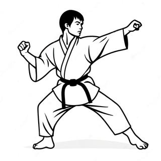 Karate Farveside 14068-11654