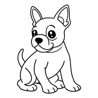 Legesyg Boston Terrier Farvelaegning 16423-13844