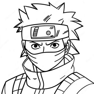 Kakashi Farveside 1781-1422