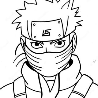 Kakashi Farveside 1781-1424