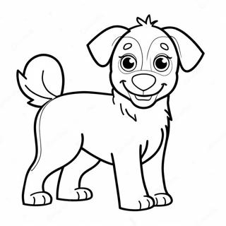 Australsk Hyrdehund Farvelægningssider