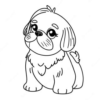 Shih Tzu Hvalp Farveside 19318-16143