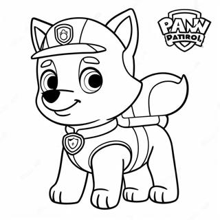 Ryder Paw Patrol Farveside 20100-18711