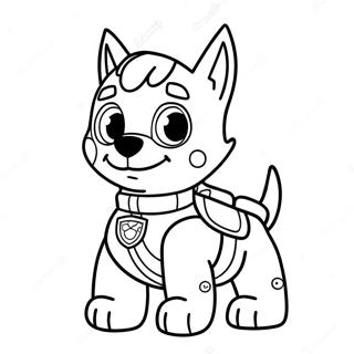 Rocky Paw Patrol Farvelægningssider