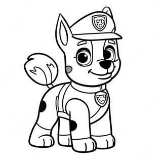 Rocky Paw Patrol Farveside 20782-19239