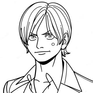 Sanji Farvelaegning 22153-20467