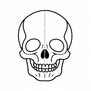 Tomt Kranium Diagram Farveside 23153-21258