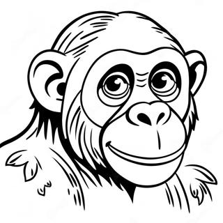 Chimpanse Farveside 26096-23946