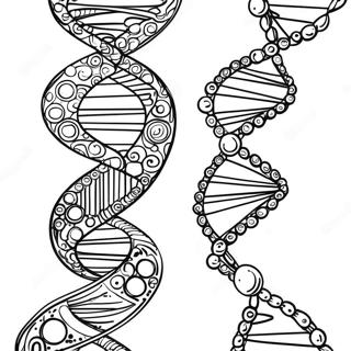 Dna Dobbelt Helix Farveside 26186-24018