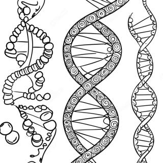 Dna Dobbelt Helix Farveside 26186-24019