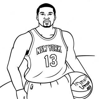 New York Knicks Farvelægningssider