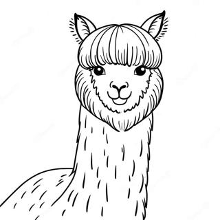 Alpaca Farveside 37585-31283