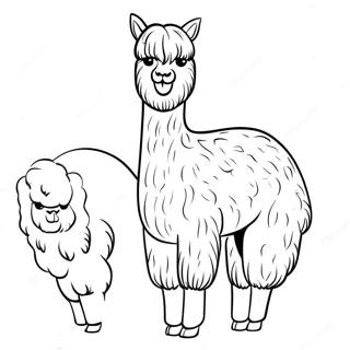 Alpaca Farveside 37585-31284