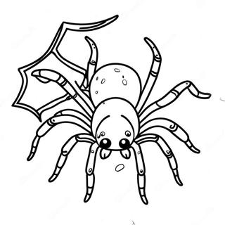 Tarantula Farveside 40517-33584