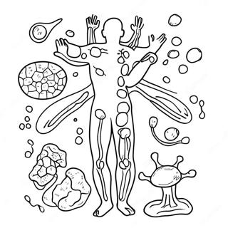 Immunsystem Diagram Farveside 46263-38530