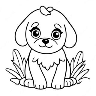 Cavapoo Farvelægningssider