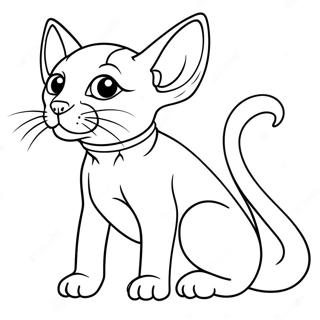 Sphynx Kat Farveside 47383-39432