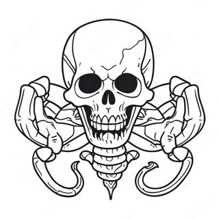 Skull Crawler Farveside 51054-42527