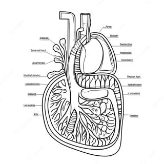 Fordojelsessystem Diagram Farveside 53638-44556