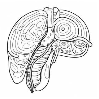 Fordojelsessystem Diagram Farveside 53638-44709