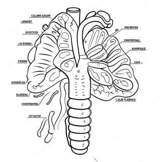 Fordojelsessystem Diagram Farveside 53638-44710