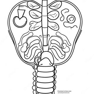 Fordojelsessystem Diagram Farveside 53638-44711