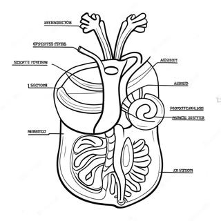 Fordojelsessystem Diagram Farveside 53638-44712