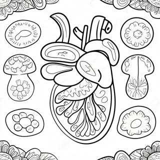 Farverige Fordojelsesorganer Farveside 53639-44716