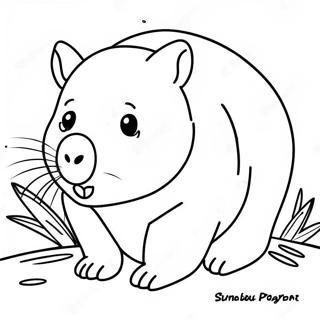 Wombat Farvelaegningsside 56381-46872