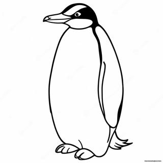 Kejsersk Penguin Farveside 58715-48767