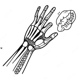 Rontgen Arm Og Hand Farveside 61877-51289