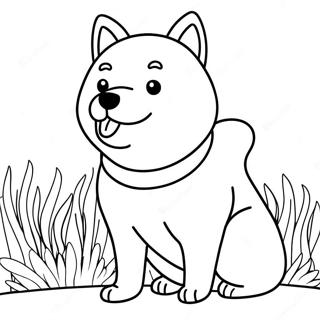 Shiba Inu Farvelaegning 62838-52023