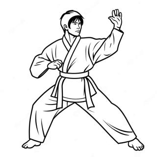 Taekwondo Farveside 65980-54492