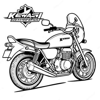 Kawasaki Motorcykel Farveside 66850-55198