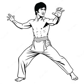 Bruce Lee Ikonisk Spark Farveside 69334-57145