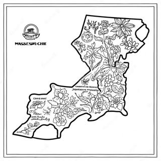 Massachusetts Farvelægningssider