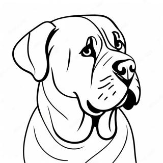 Engelsk Mastiff Farvelægningssider